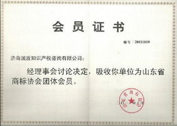 知識產權代理 創新成果的護航者與市場價值的轉化器